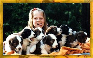 Alina & Welpen