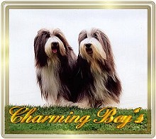 Charming Boys und Beamy