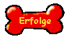 Erfolge und Champions