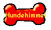 Hier geht es zum Hundehimmel!