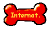 Internationale Beardie-Z�chter!