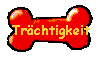 Zandys Trchtigkeitstagebuch!