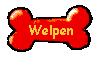 Wurfplanung und Welpen