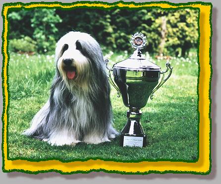 Zandy mit der Pedigree Champ Trophy