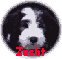 Zucht