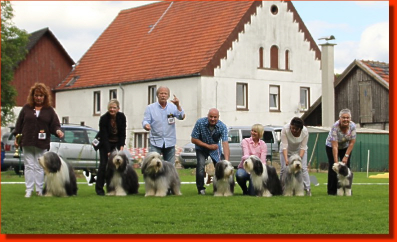 Beckum16NachzuchtHirot2 Beckum16NachzuchtHirot2
