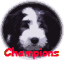 Champions