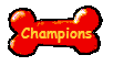 Champions