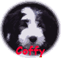 Coffy