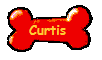 Curtis 