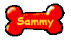 Sammy