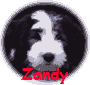 Zandy