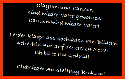 Hier erfahren Sie immer das Neueste!