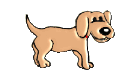 digdogsmall