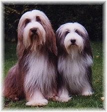 Josy+Feger