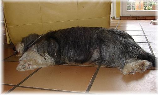 Unsere "Dicke"!