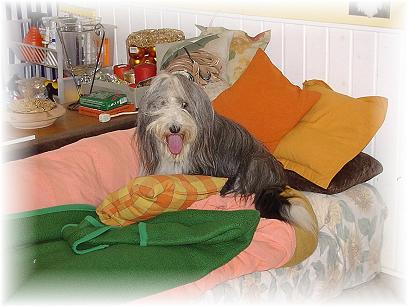 Boh, ist diese Buddelei anstrengend!